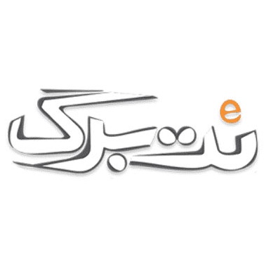 نت-برگ